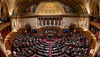 Le budget de la Sécurité sociale adopté par le Sénat, malgré la bouderie des macronistes