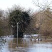 BREAKING: Storm Conall: Met Office names new storm set to bring 14 hours of torrential rain