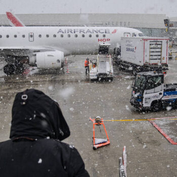 A l’aéroport Charles de Gaulle, une touriste recherche sa chienne disparue sur le tarmac depuis une semaine, un «dispositif exceptionnel» déployé par Air France