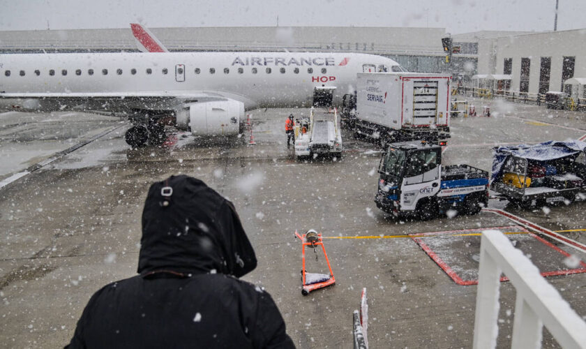 A l’aéroport Charles de Gaulle, une touriste recherche sa chienne disparue sur le tarmac depuis une semaine, un «dispositif exceptionnel» déployé par Air France