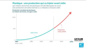 Déchets plastiques : pourquoi est-ce si difficile de trouver une alternative ?