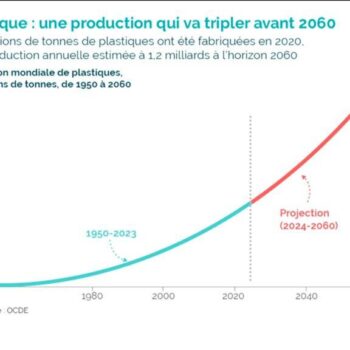 Déchets plastiques : pourquoi est-ce si difficile de trouver une alternative ?