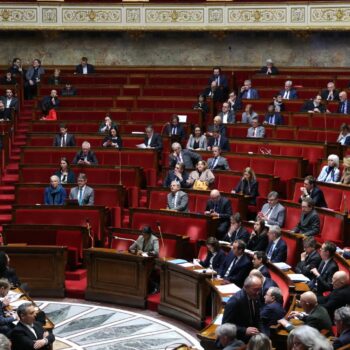 Le traité du Mercosur symboliquement rejeté lors d’un vote par l’Assemblée nationale