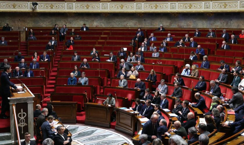 Le traité du Mercosur symboliquement rejeté lors d’un vote par l’Assemblée nationale