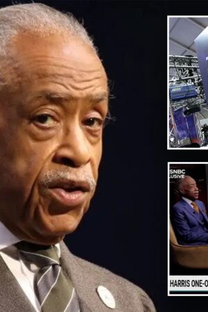 Sharpton's 'pay to play' scandal 'ricocheting around the halls' of MSNBC, insider says: 'Can't be acceptable'