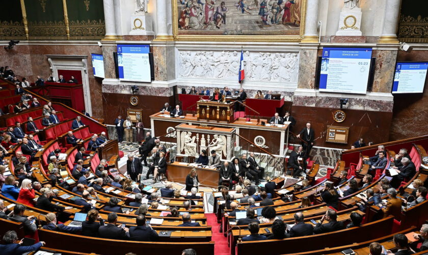 Accord UE-Mercosur : les députés ont voté contre, à quels changements s'attendre ?