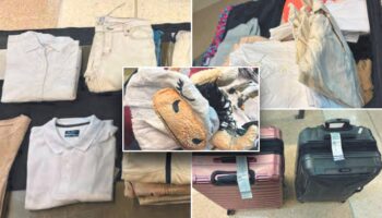 California man allegedly checked suitcases containing meth-caked clothes and a cow pajama onesie: DOJ