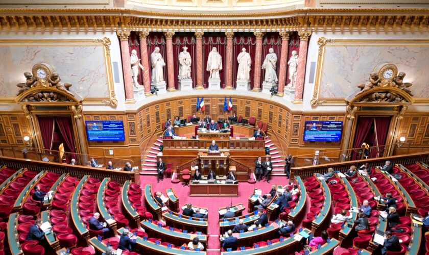 Le budget de la Sécu largement adopté au Sénat, malgré l’abstention des macronistes