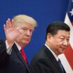 Les présidents des Etats-Unis Donald Trump (g) et de la Chine Xi Jinping, le 9 novembre 2017 à Pékin