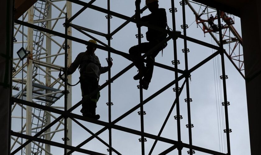 Ob Baugewerbe, Handwerk oder Selbstständige: Viele Unternehmen kämpfen mit ähnlichen Problemen. (Archivbild) Foto: Jan Woitas/dp