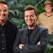 Ant McPartlin and Declan Donnelly face huge backlash as I'm a Celebrity is slapped with Ofcom complaints