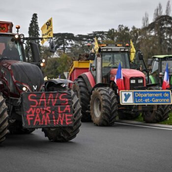 Accord UE-Mercosur : agriculture, industrie, climat… quels seraient les gagnants et les perdants ?