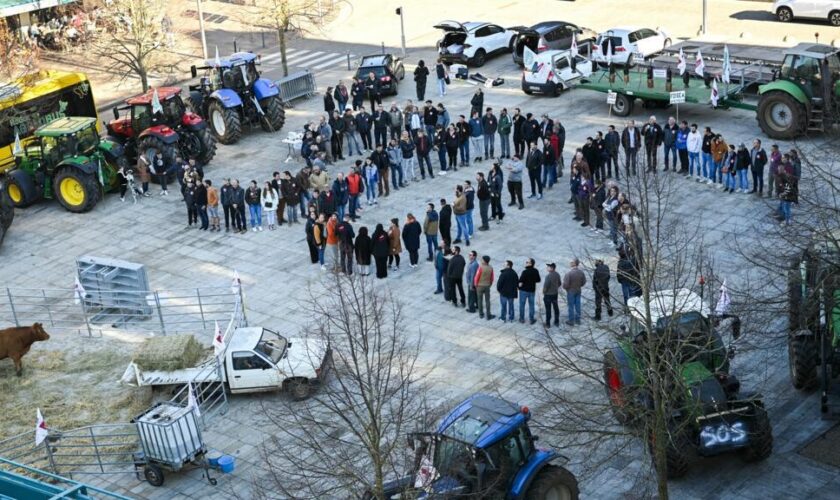 Les agriculteurs se mobilisent contre le traité avec le Mercosur et "ce qui entrave leur vie"