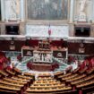 Vue générale de l'hémicycle de l'Assemblée nationale à Paris le 19 mai 2020