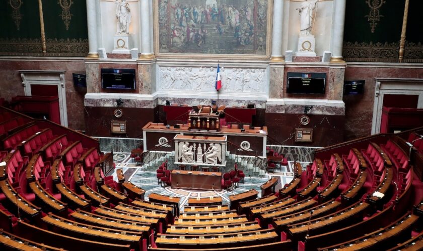 Vue générale de l'hémicycle de l'Assemblée nationale à Paris le 19 mai 2020