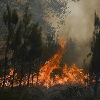 1,5 million de décès par an dans le monde : une étude pointe l’impact de la pollution de l’air due aux incendies