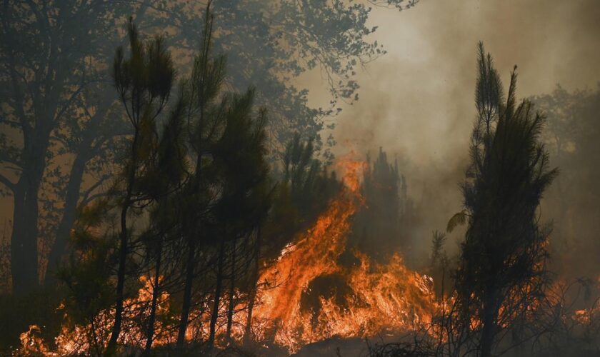 1,5 million de décès par an dans le monde : une étude pointe l’impact de la pollution de l’air due aux incendies