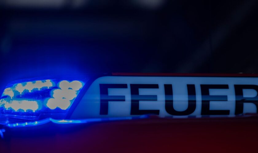 Zwei Autos brannten bei einem Feuer in Schwerin völlig aus. Foto: Rolf Vennenbernd/dpa