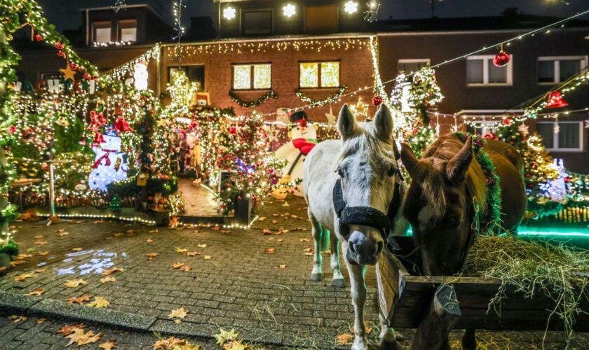 Die Nachbarn staunen: Zur Eröffnung des Oberhausener Weihnachtshauses stehen zwei Pferde vor der Tür von Dirk van Acken Foto: Ch