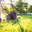 Gardening expert's essential tips to ensure green and healthy lawn next spring