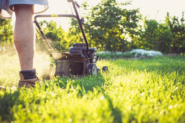 Gardening expert's essential tips to ensure green and healthy lawn next spring