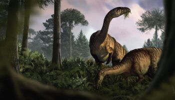 Anhand von versteinertem Kot, Erbrochenem und Darminhalten haben Fachleute die frühe Entwicklung der Dinosaurier rekonstruiert.