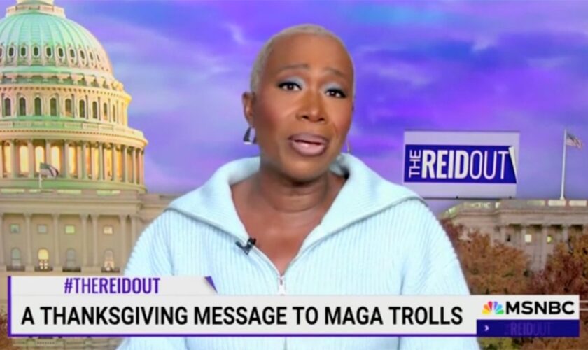 Joy Reid sends message to Republicans ahead of Thanksgiving: 'Make your own dinner, MAGA'