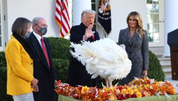 Liberal New York Times opinion writer turns over Thanksgiving column to Trump-loving brother