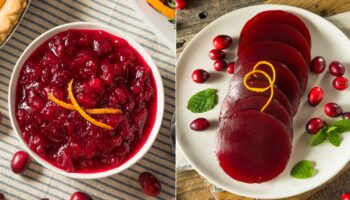 Thanksgiving food debate: Do you prefer homemade or canned cranberry sauce?