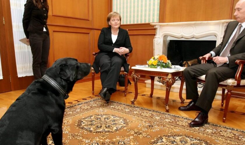 „Angela, entschuldige, ich wollte Dir keinen Kummer bereiten“