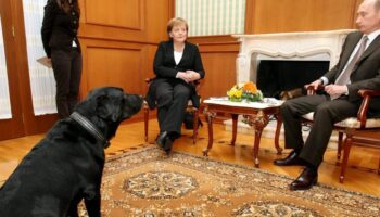 „Angela, entschuldige, ich wollte Dir keinen Kummer bereiten“