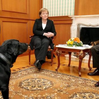 „Angela, entschuldige, ich wollte Dir keinen Kummer bereiten“