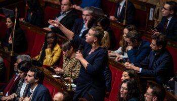 Mathilde Panot lors du débat sur la réforme des retraites à l'Assemblée le 28 novembre 2024.