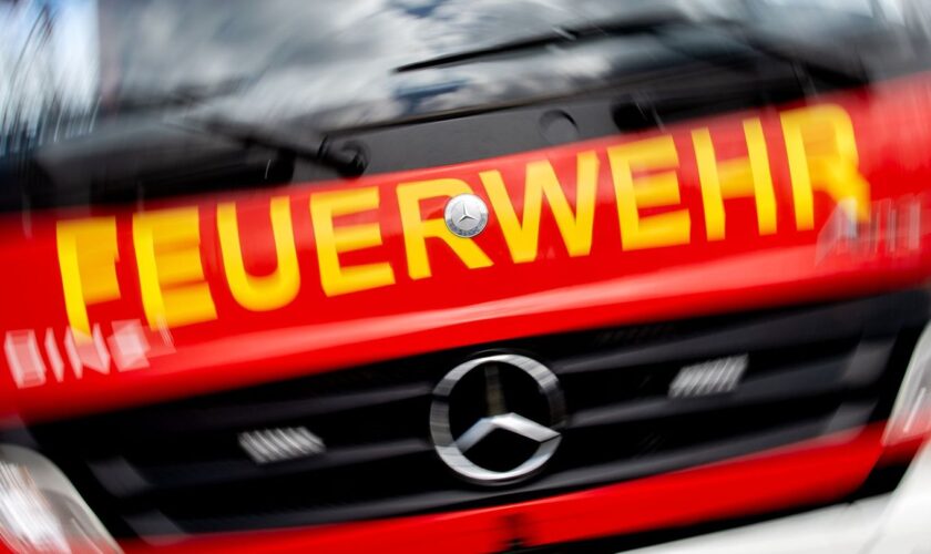 In Zeitz (Burgenlandkreis) ist die Feuerwehr im Großeinsatz in einem Einkaufszentrum. (Symbolbild) Foto: Hauke-Christian Dittric