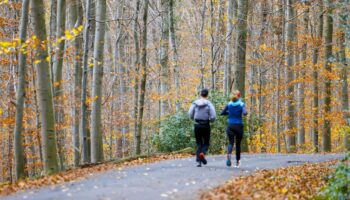 Deutscher Wetterdienst: Herbst in Deutschland erneut zu warm