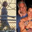 Ghislaine Maxwell is left 'starving' and hasn't eaten for five days as medicine 'is shut off' at broke hellhole jail