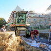 Crise des agriculteurs, en direct : la FNSEA appelle à de nouvelles mobilisations les 9 et 10 décembre