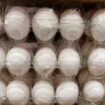 Costco organic eggs recalled over concerns of salmonella contamination