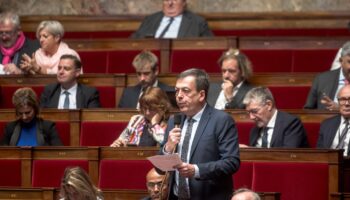 Assemblée nationale : « J’ai craqué »… Les députés racontent pourquoi ils ont failli se battre