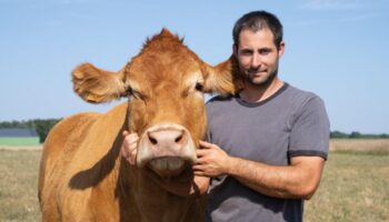 Salon de l’agriculture : Oupette, la vache star de la prochaine édition viendra accompagner de son veau