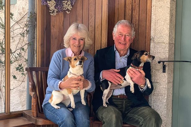 King Charles and Queen Camilla open their doors for Christmas photoshoot with rescue dogs