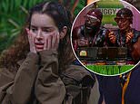 I'm A Celeb's Maura Higgins seethes she's 'never been this unhappy in her life' as she misses out on a chocolate treat after Piggybanks Challenge