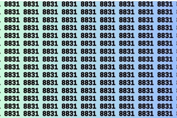 Only those with eagle eyes can spot the number 8881 in a sea of 8831s in 12 seconds