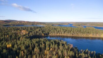 Waldbaden: Märchenwälder und Bergwelten: Die schönsten Wälder in Europa