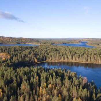 Waldbaden: Märchenwälder und Bergwelten: Die schönsten Wälder in Europa