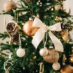 Experts warn 'wash your Christmas tree twice' or risk health problems