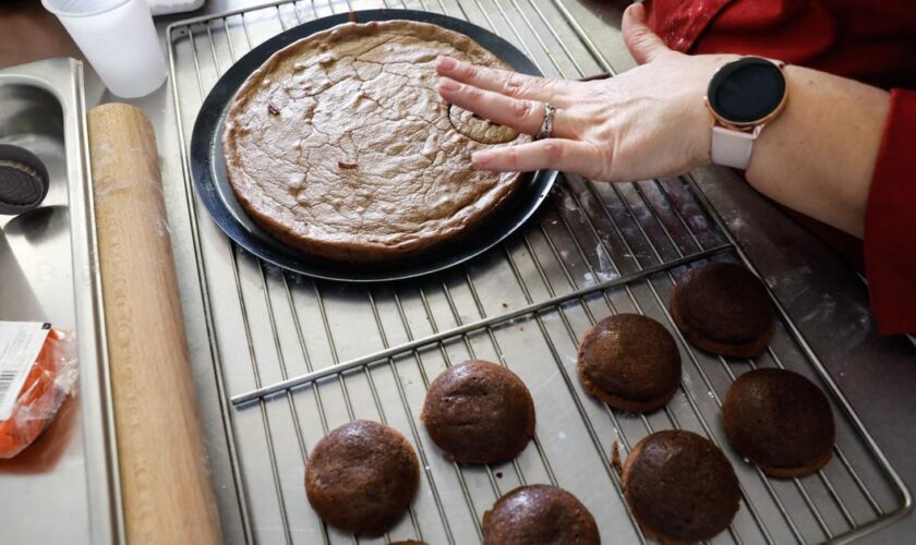 La science d’un gâteau au chocolat sans œufs (réussi)