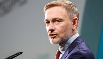 „Wenn die FDP Lindner opfert, wer bringt sie dann über die Fünf-Prozent-Hürde“