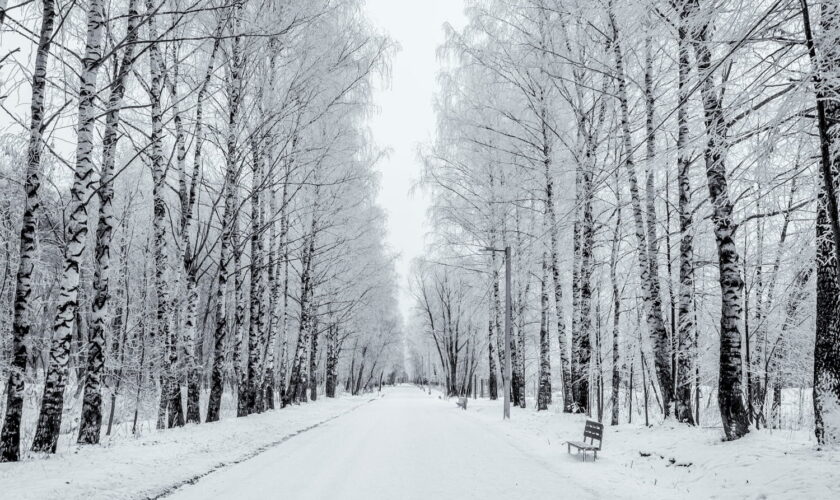 Météo : à cette date, la France entre dans l'hiver météorologique et les changements sont nombreux