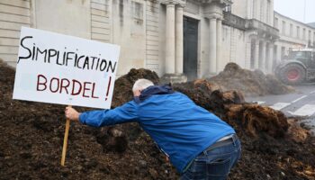 Face à la colère des agriculteurs, Annie Genevard dévoile ses mesures contre « les boulets » des normes